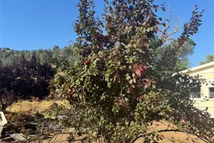18266 Caliente Creek Rd, Caliente, CA 93518 - Photo 26