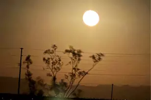 69538 Jim Pine, 29 Palms MCB, CA 92277 - Photo 14