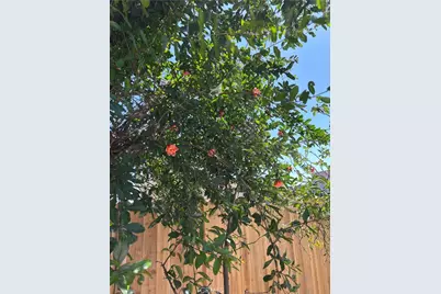 2530 Ganahl, Los Angeles, CA 90033 - Photo 12