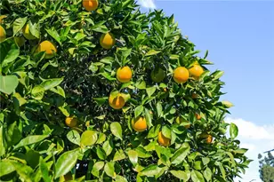 9660 Tryon St, Rancho Cucamonga, CA 91730 - Photo 34