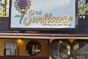 54805 S South Circle, Idyllwild, CA 92549 - Photo 30