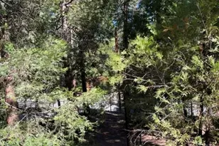 54805 S South Circle, Idyllwild, CA 92549 - Photo 40