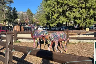 54805 S South Circle, Idyllwild, CA 92549 - Photo 28