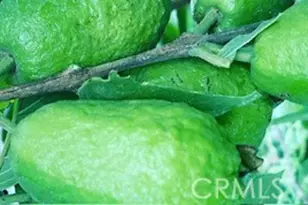 7908 Zona Ct, Riverside, CA 92507 - Photo 44