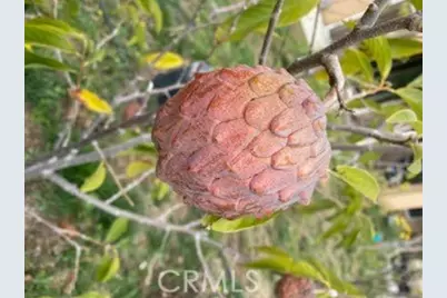 7908 Zona Court, Riverside, CA 92507 - Photo 40