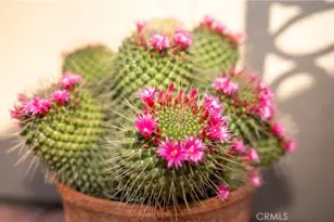 15002 Sagegrove Ln, Fontana, CA 92336 - Photo 66