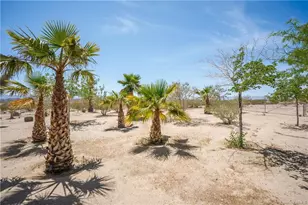 66125 Brant Cross, Joshua Tree, CA 92252 - Photo 10
