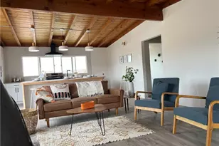 52024 Nehlsen, Johnson Valley, CA 92285 - Photo 2