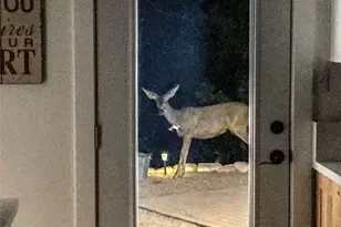 33303 Lakeview Dr, Arrowbear, CA 92382 - Photo 46