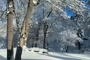 33303 Lakeview Dr, Arrowbear, CA 92382 - Photo 40