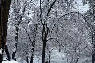 33303 Lakeview Dr, Arrowbear, CA 92382 - Photo 38