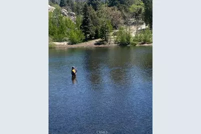 33303 Lake View Drive, Arrowbear, CA 92382 - Photo 6