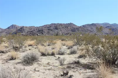 66250 Sullivan Road, Joshua Tree, CA 92252 - Photo 8