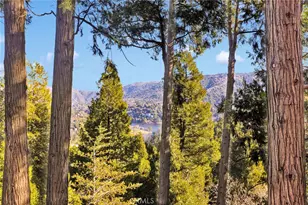 993 Mercury Way, Crestline, CA 92325 - Photo 12