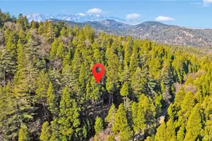 993 Mercury Way, Crestline, CA 92325 - Photo 60