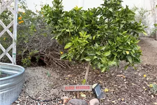 3070 Crestview Dr, Norco, CA 92860 - Photo 74