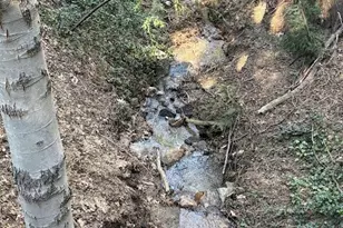 25132 Boa, Crestline, CA 92325 - Photo 42