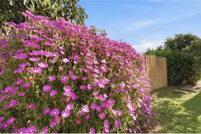 158 Cecil, Costa Mesa, CA 92627 - Photo 38