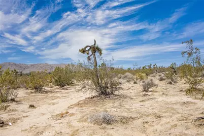 6563 Saddleback Road, Joshua Tree, CA 92252 - Photo 12