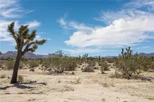 6563 Saddleback Rd, Joshua Tree, CA 92252 - Photo 1