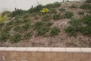 30594 The Vintage, Homeland, CA 92548 - Photo 2