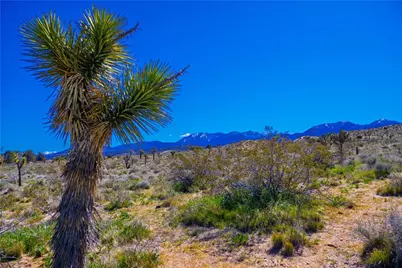 1 E Avenue V-12, Pearblossom, CA 93553 - Photo 62