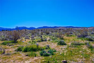 1 E Avenue V-12, Pearblossom, CA 93553 - Photo 50