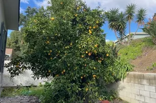 1850 Fairway, Chino Hills, CA 91709 - Photo 10