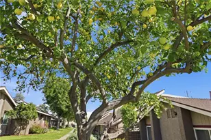 1614 Carmel Circle, Upland, CA 91784 - Photo 24