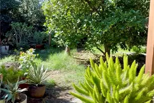 11251 Dronfield, Pacoima, CA 91331 - Photo 22