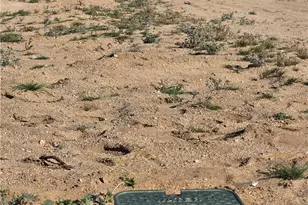 68423 Rainier, 29 Palms MCB, CA 92277 - Photo 2