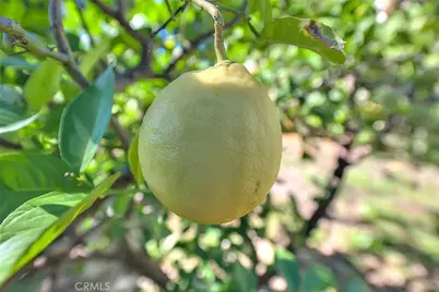 9828 Flying Mane, Rancho Cucamonga, CA 91737 - Photo 74