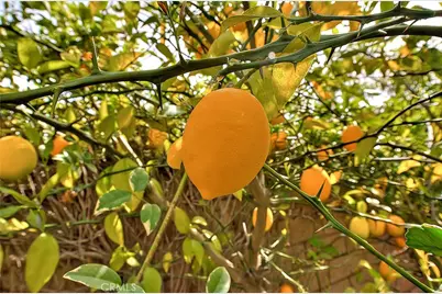 1239 Mallorca, Upland, CA 91784 - Photo 30