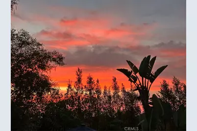 1389 S Lemon, Walnut, CA 91789 - Photo 6