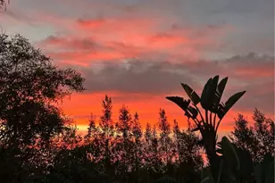 1389 S Lemon, Walnut, CA 91789 - Photo 6