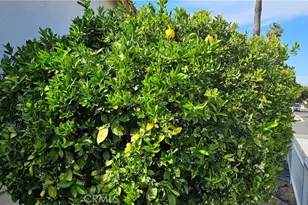 2431 El Rancho Cir, Hemet, CA 92545 - Photo 20