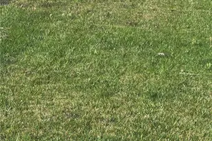 1788 N Acacia Ave, Rialto, CA 92376 - Photo 10