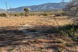 35022 Carson St, Lucerne Valley, CA 92356 - Photo 8