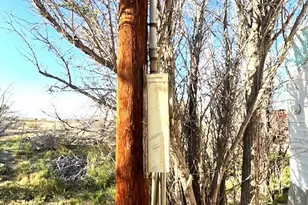 35022 Carson St, Lucerne Valley, CA 92356 - Photo 4