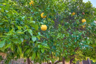 640 W 29th, San Bernardino, CA 92405 - Photo 8