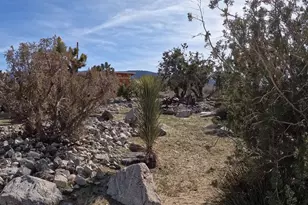30000 Buchannon Ranch Rd, Llano, CA 93544 - Photo 4