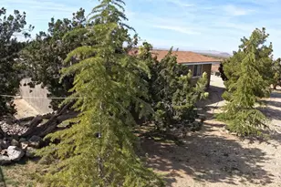 30000 Buchannon Ranch Rd, Llano, CA 93544 - Photo 28