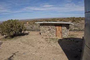 30000 Buchannon Ranch Rd, Llano, CA 93544 - Photo 30