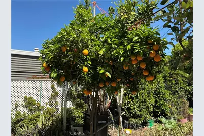 1515 W Arrow Highway, Upland, CA 91786 - Photo 4