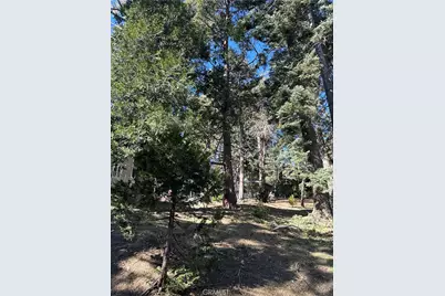 742 W Victoria Court, Lake Arrowhead, CA 92352 - Photo 2