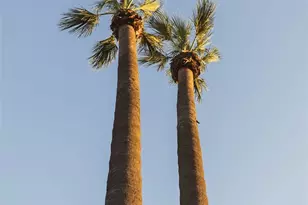 1421 S Pricedale Ave, West Covina, CA 91790 - Photo 44