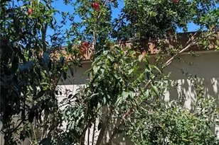 15500 Tustin Village, Tustin, CA 92780 - Photo 16