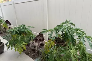 17119 Gray Pine Pl, San Bernardino, CA 92407 - Photo 16