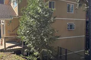 21564 Jobs Peak, Cedarpines Park, CA 92322 - Photo 4