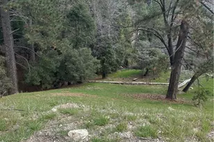 0 Fern Canyon, Cedarpines Park, CA 92322 - Photo 1